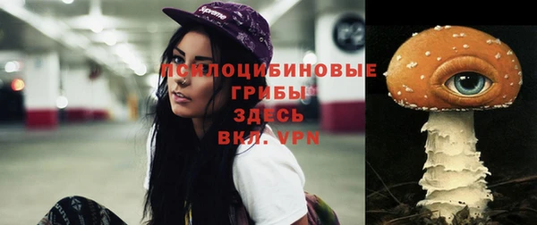 ALPHA PVP Заводоуковск