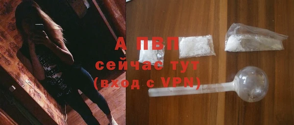 гашик Заволжск