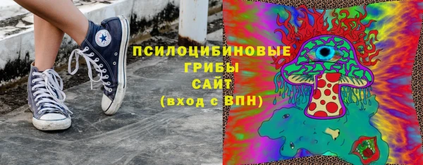 гашик Заволжск