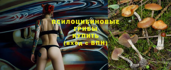 ALPHA PVP Заводоуковск