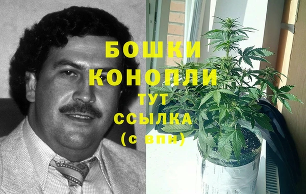 ALPHA PVP Заводоуковск