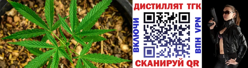 Купить закладки  Железногорск-Илимский  Дистиллят ТГК жижа 