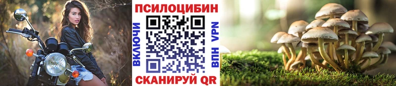 Галлюциногенные грибы Cubensis  Купить  Железногорск-Илимский 
